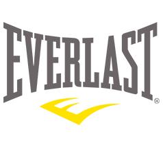 everlast logo