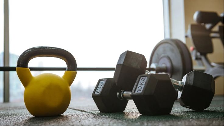 MUSCULATION